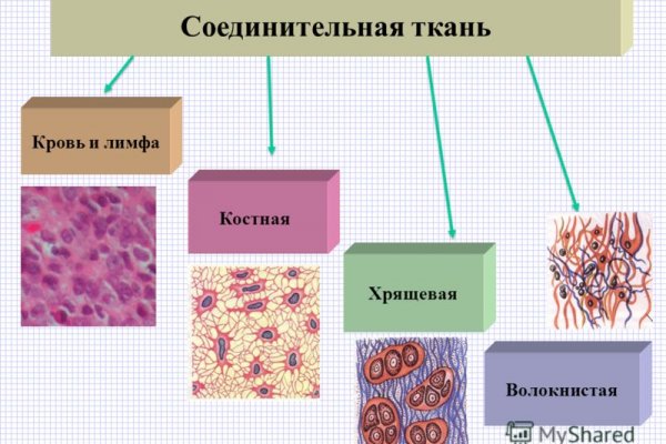 Кракен онион kraken zerkalo